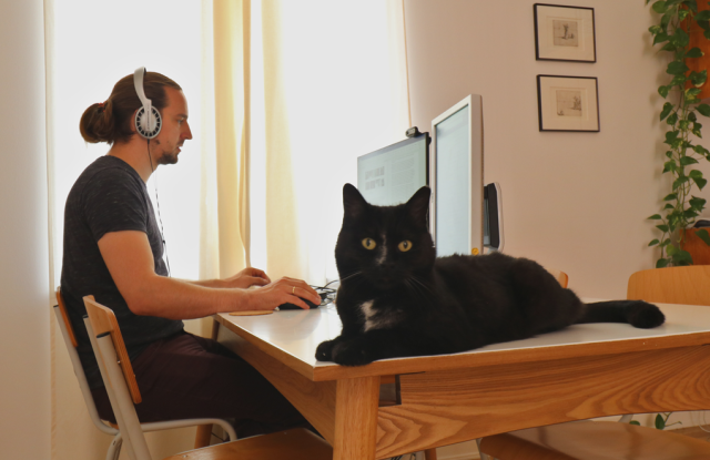 PhD students working at his dinning table with his black cat sitting on table.