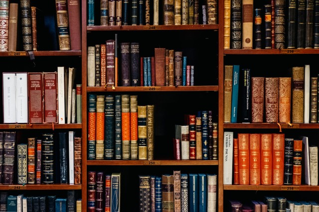 Shelves filled with books in an old book store from the city of Bilbao.